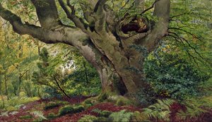 बर्नहैम बीचेस (wc) द्वारा जेम्स मैथ्यूज